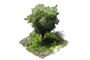 Thouars - Page 3 1x1_arbre_1_apercu
