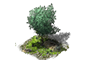 Thouars - Page 3 1x1_arbre_3_apercu